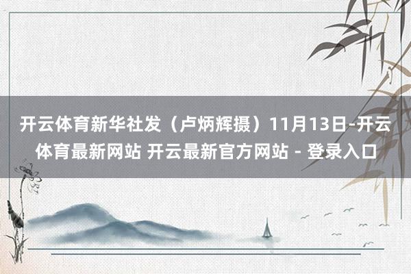 开云体育新华社发（卢炳辉摄）　　11月13日-开云体育最新网站 开云最新官方网站 - 登录入口