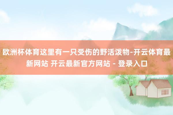 欧洲杯体育这里有一只受伤的野活泼物-开云体育最新网站 开云最新官方网站 - 登录入口
