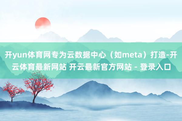 开yun体育网专为云数据中心（如meta）打造-开云体育最新网站 开云最新官方网站 - 登录入口