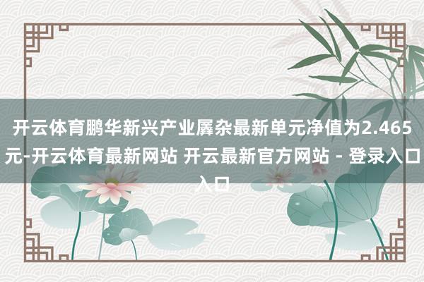 开云体育鹏华新兴产业羼杂最新单元净值为2.465元-开云体育最新网站 开云最新官方网站 - 登录入口