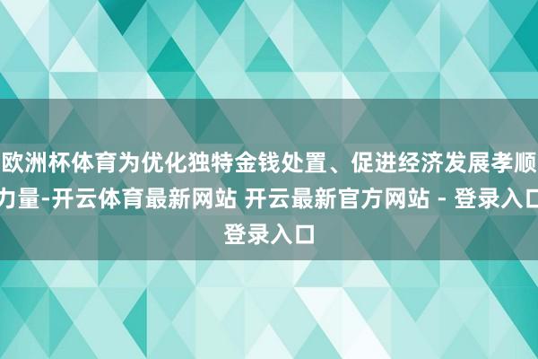 欧洲杯体育为优化独特金钱处置、促进经济发展孝顺力量-开云体育最新网站 开云最新官方网站 - 登录入口