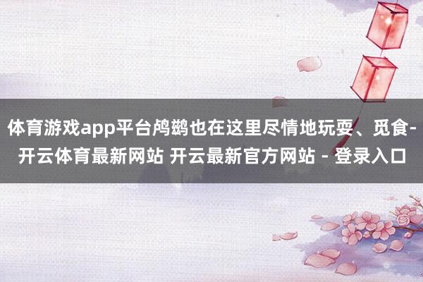 体育游戏app平台鸬鹚也在这里尽情地玩耍、觅食-开云体育最新网站 开云最新官方网站 - 登录入口