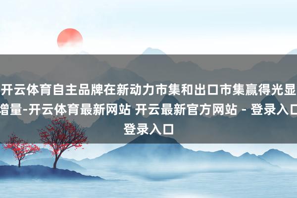 开云体育自主品牌在新动力市集和出口市集赢得光显增量-开云体育最新网站 开云最新官方网站 - 登录入口