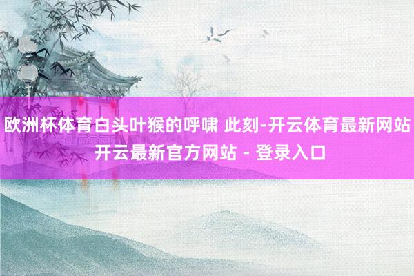 欧洲杯体育白头叶猴的呼啸 此刻-开云体育最新网站 开云最新官方网站 - 登录入口