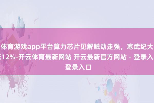 体育游戏app平台算力芯片见解触动走强，寒武纪大涨12%-开云体育最新网站 开云最新官方网站 - 登录入口
