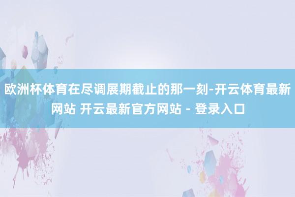 欧洲杯体育在尽调展期截止的那一刻-开云体育最新网站 开云最新官方网站 - 登录入口