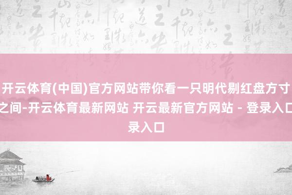 开云体育(中国)官方网站带你看一只明代剔红盘方寸之间-开云体育最新网站 开云最新官方网站 - 登录入口