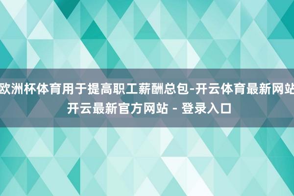 欧洲杯体育用于提高职工薪酬总包-开云体育最新网站 开云最新官方网站 - 登录入口